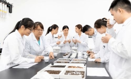 喜茶筹建食品营养与科学研究中心,推动新茶饮行业规范化
