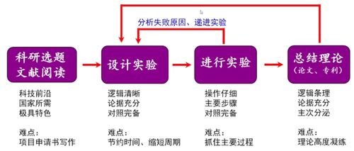 文献阅读与研究方法